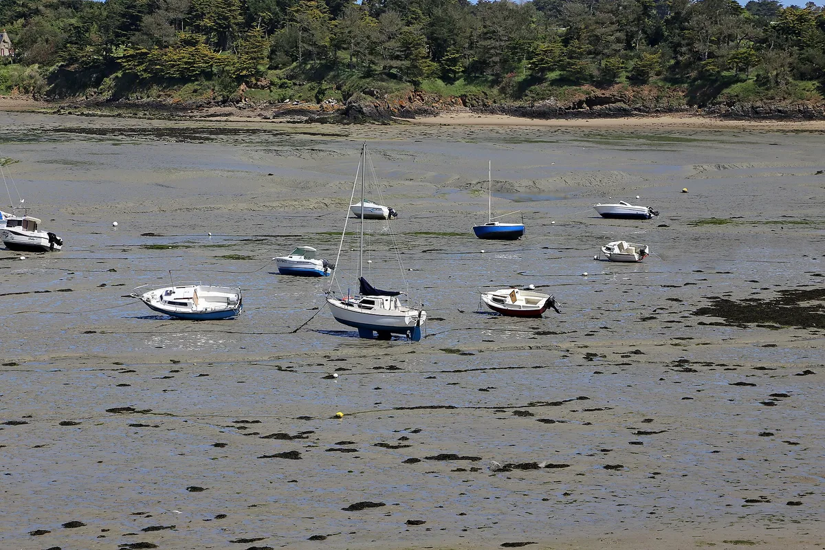 Maré vazia: o mesmo porto, horas depois