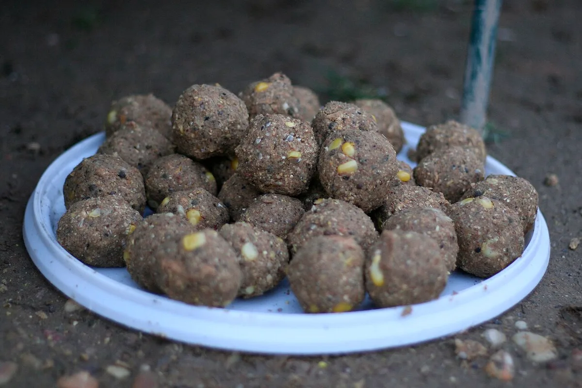 Boilies para a pesca à carpa