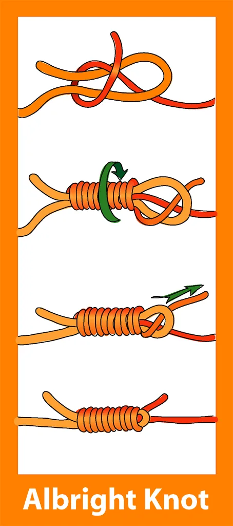 Diagrama do nó Albright, versão corrigida com a saída correta da ponta.