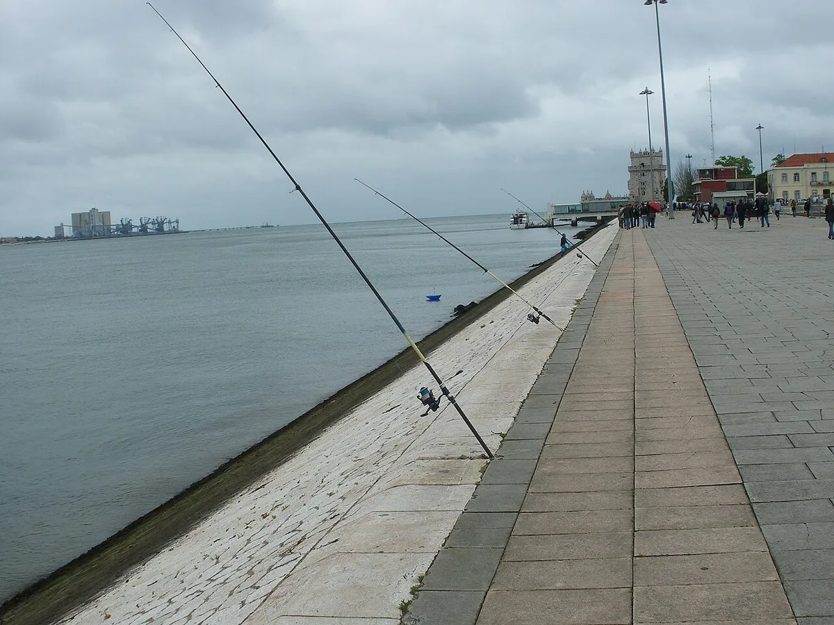 Canas compridas de pesca ao fundo junto ao rio Tejo, em Lisboa