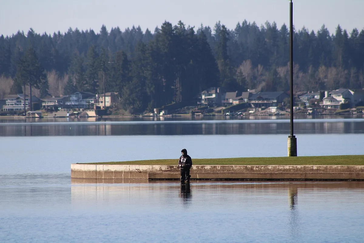 Pescador com waders dentro de água, numa margem de lago