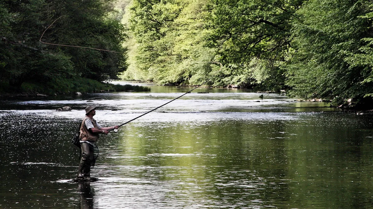 Pesca à mosca no rio Semois, Bélgica